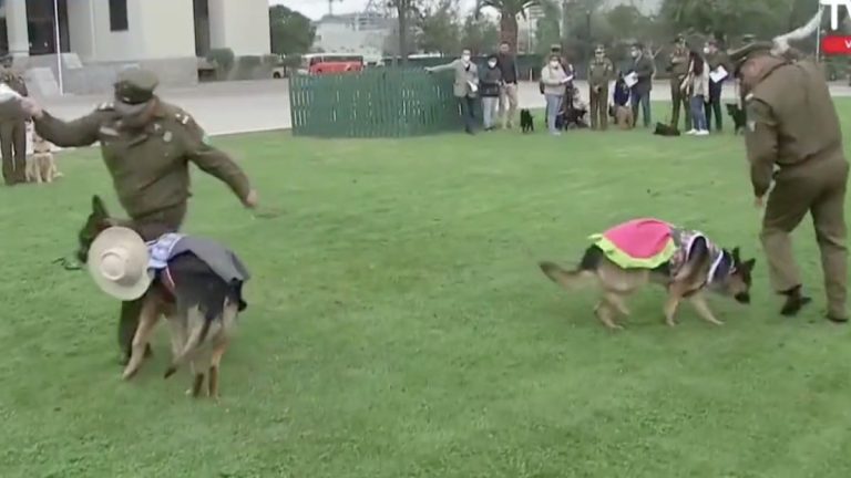 Carabineros Bailando Cueca