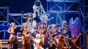 Cats Las Condes